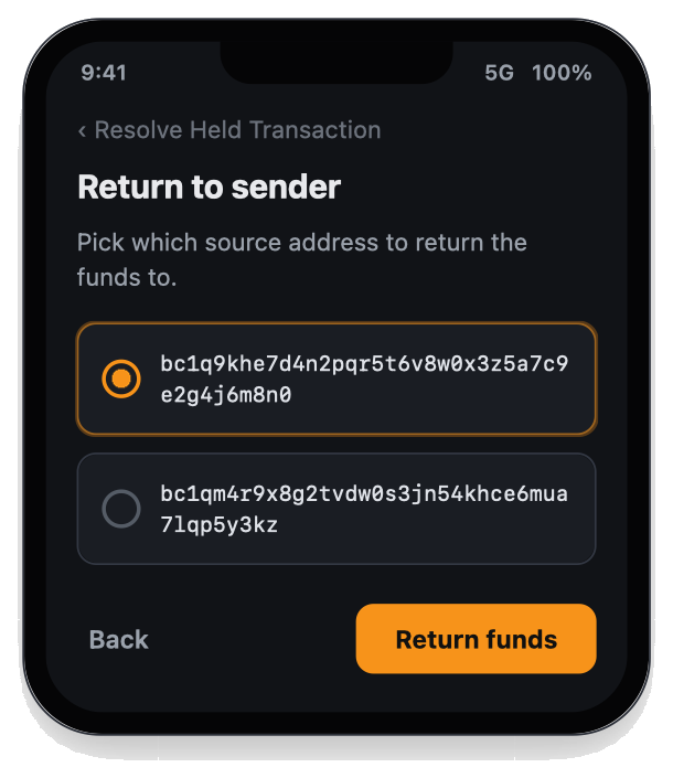 bitaroo-resolve-return.png